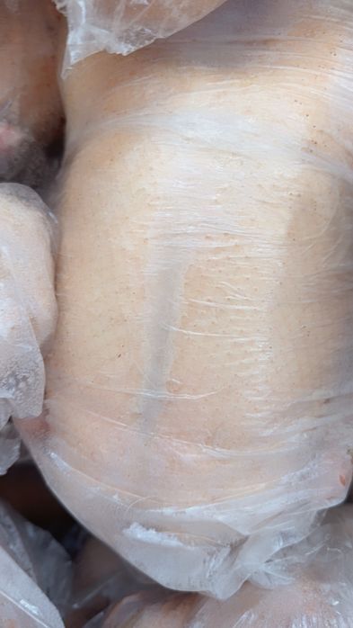 Продам мясо домашнего гуся