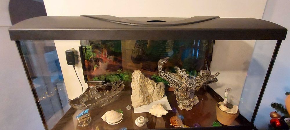 Acvariu  pentru pesti