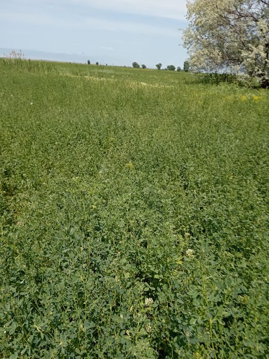 Продам 2,5 гектар земли