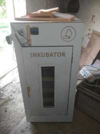 Inkubator 500 talik avtomat