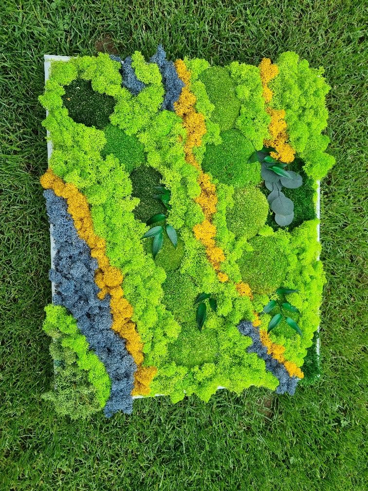 Tablou natural din licheni naturali stabilizati 60 x50 cm