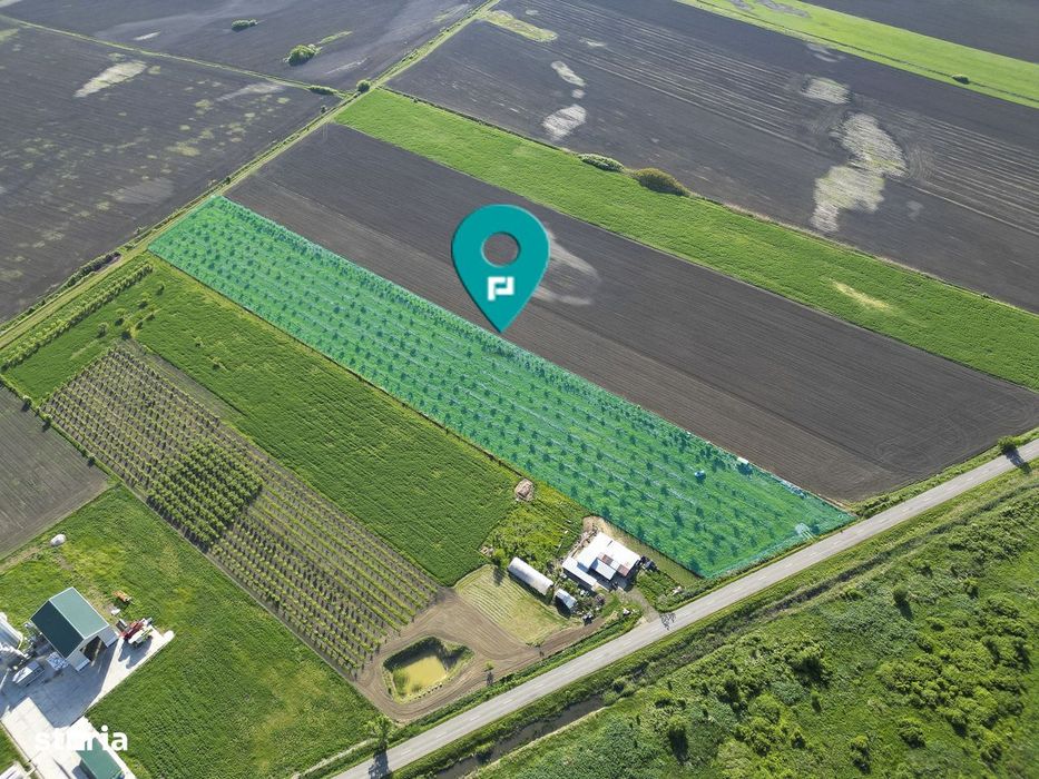 Livadă de nuci și pruni 2.4ha în Variașul Mare