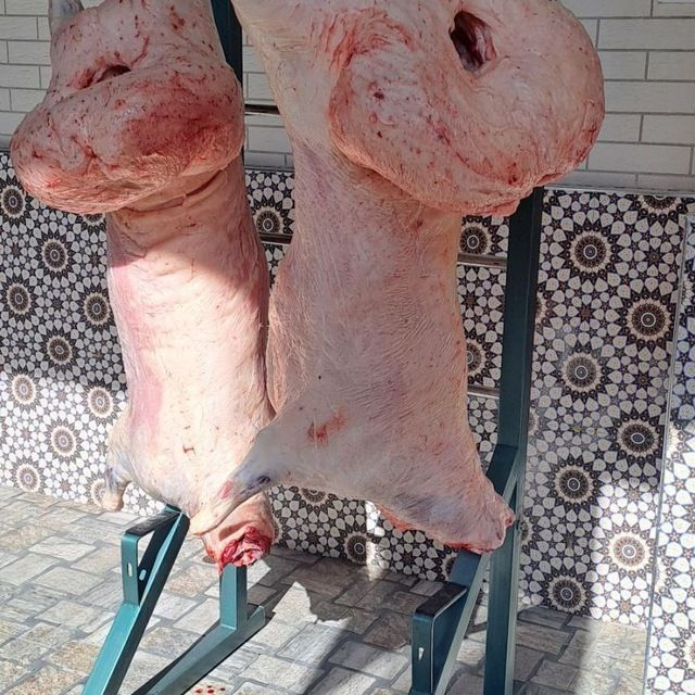 Qassob sizmati uyga boramiz