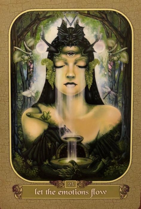 RAR Oracol MESAGER carti oracol,ed limitata,OUT OF PRINT,colectie,SIG