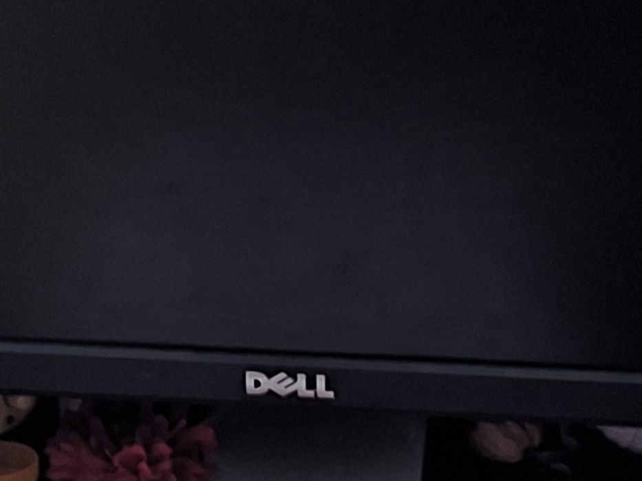 Monitor     dell