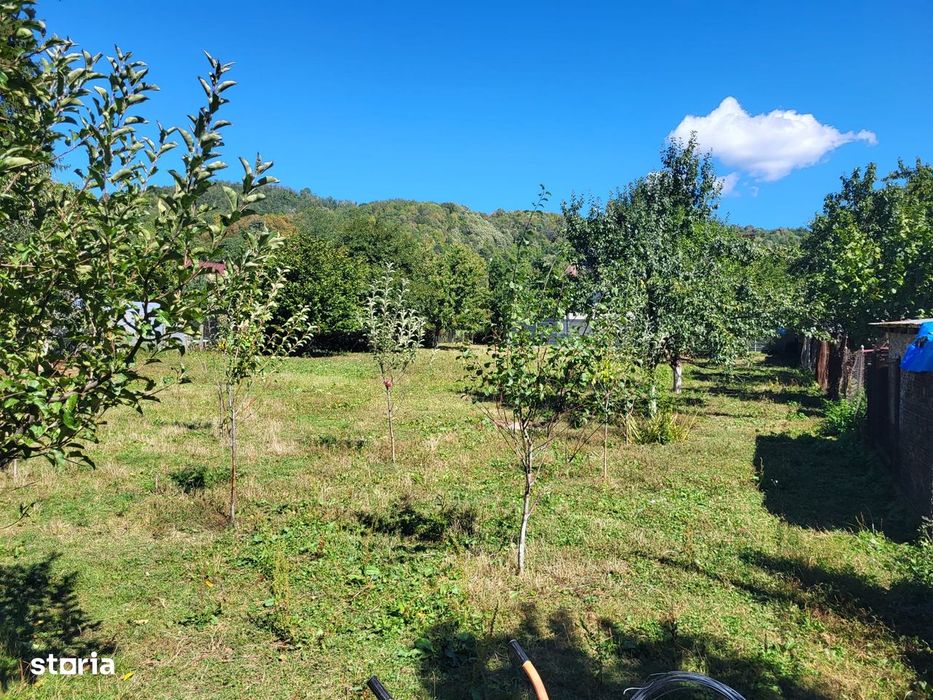 Cornu de Sus - teren intravilan 1579mp - 60 Euro/mp