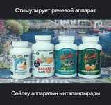 Стимулирует речевой аппарат детям внимания память учеба