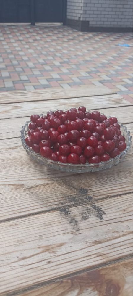 Продам вкусную сочную вишню