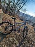 Specialized epic brain FSR
