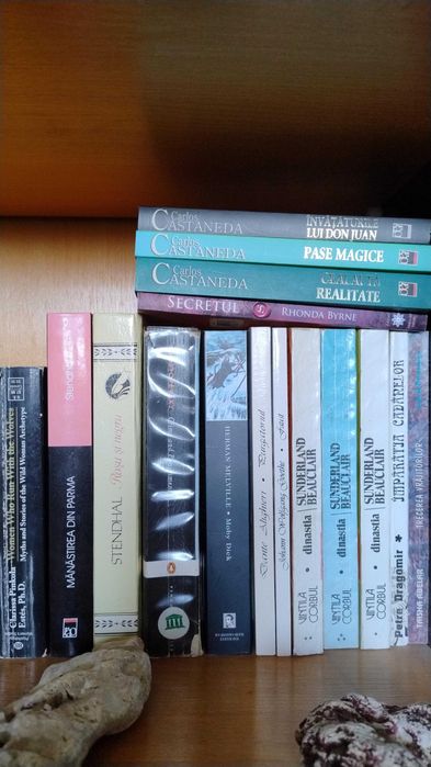 Colectie carti, CD-uri si DVD-uri