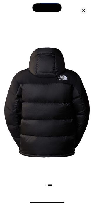 Мъжко зимно яке the north face