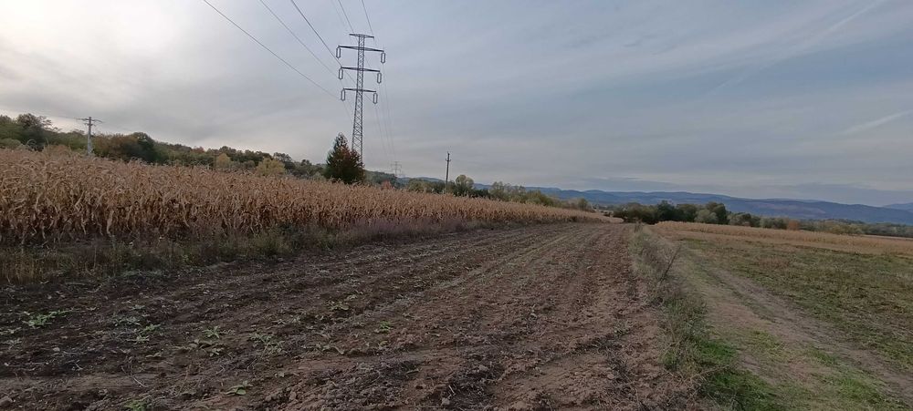 Teren extravilan Clopotiva