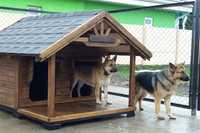 Будка, дом для двух собак в Ташкенте.