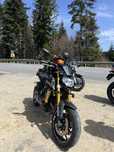 Yamaha mt 09 (2015)