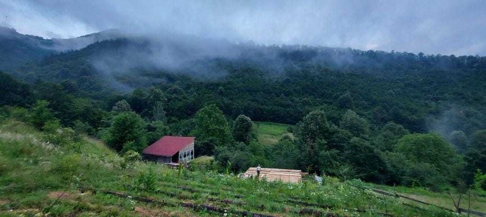 Продава се екологичен проект от 12 710 кв. м. с две нови дървени къщи.