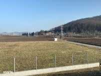 Teren industrial de vanzare, zona Automecanica