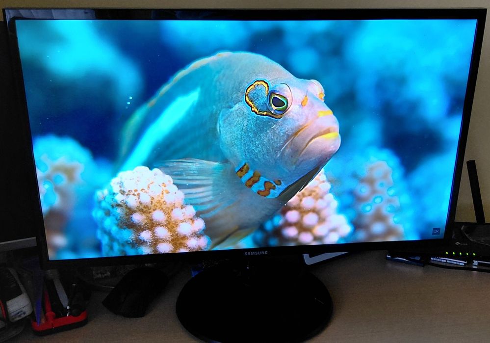 Calculator low gamming i5 9400 12gb ram ssd+hdd video RX 560