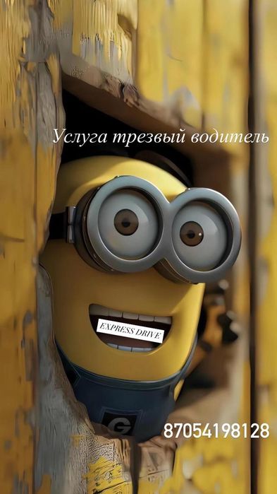 Трезвый водитель!