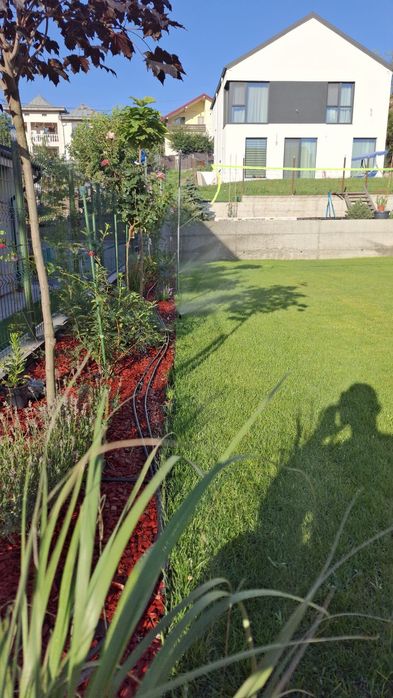 Amenajari gradini, spatii verzi, sisteme de irigat  ,  scarificare