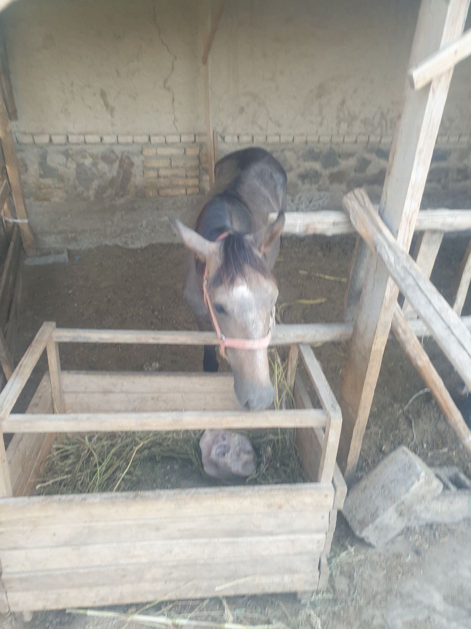 Ot toycha SROCHNI