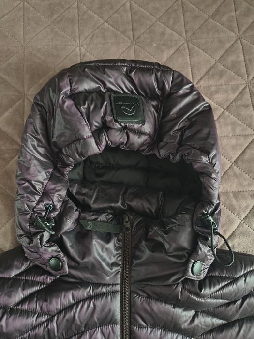 Перфектно яке Northfinder