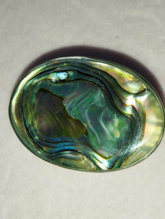 Broșă  Abalone, eleganta