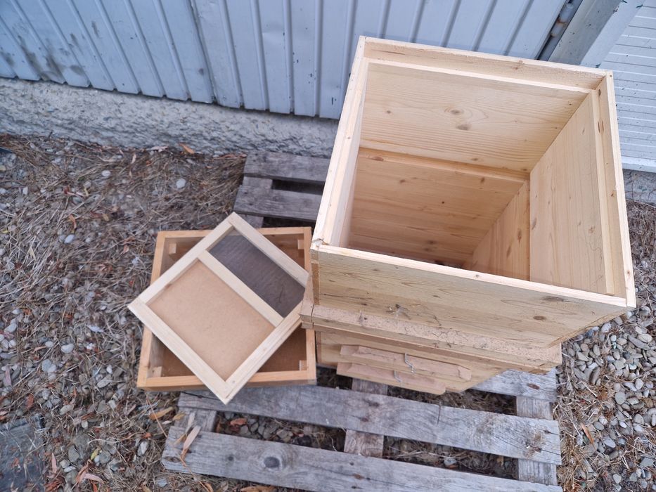 Stupi albine din lemn - Layens