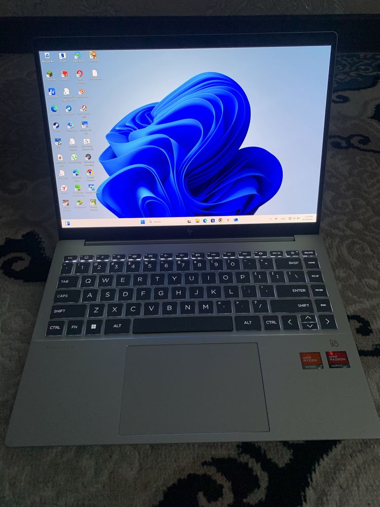 HP Pavilion plus