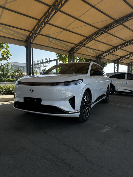 Dongfeng 008 restaling