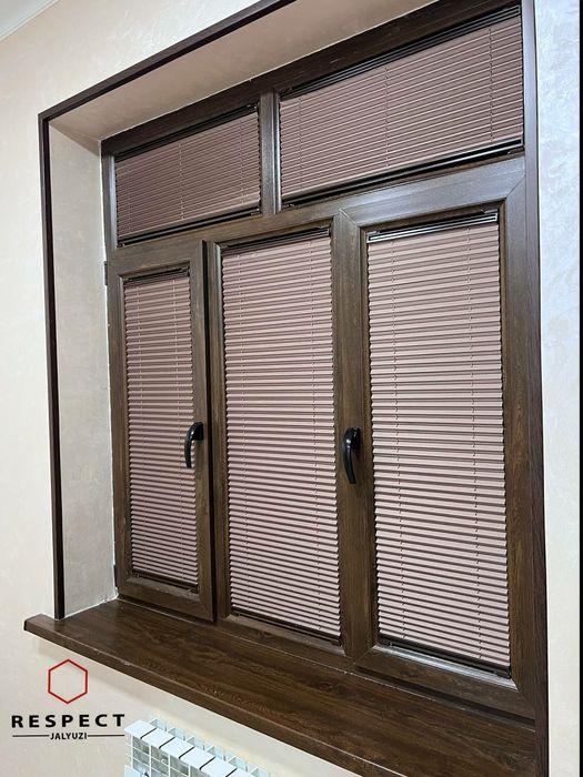 Jalyuz.                                                           Jaly