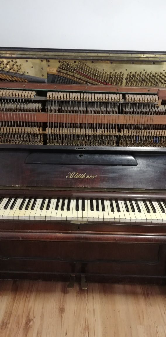 Pianina Bluthner, anii 1870