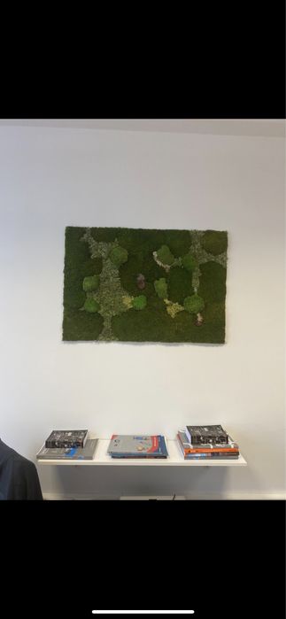 Tablou licheni si muschi naturali