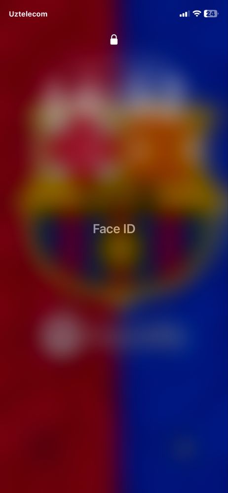 Iphone XR xolati idial sotiladi