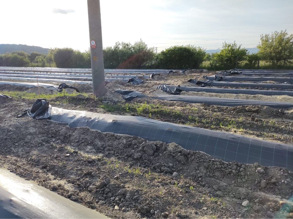 Utilaje/masini de bilonat si infoliat pentru inchiriat