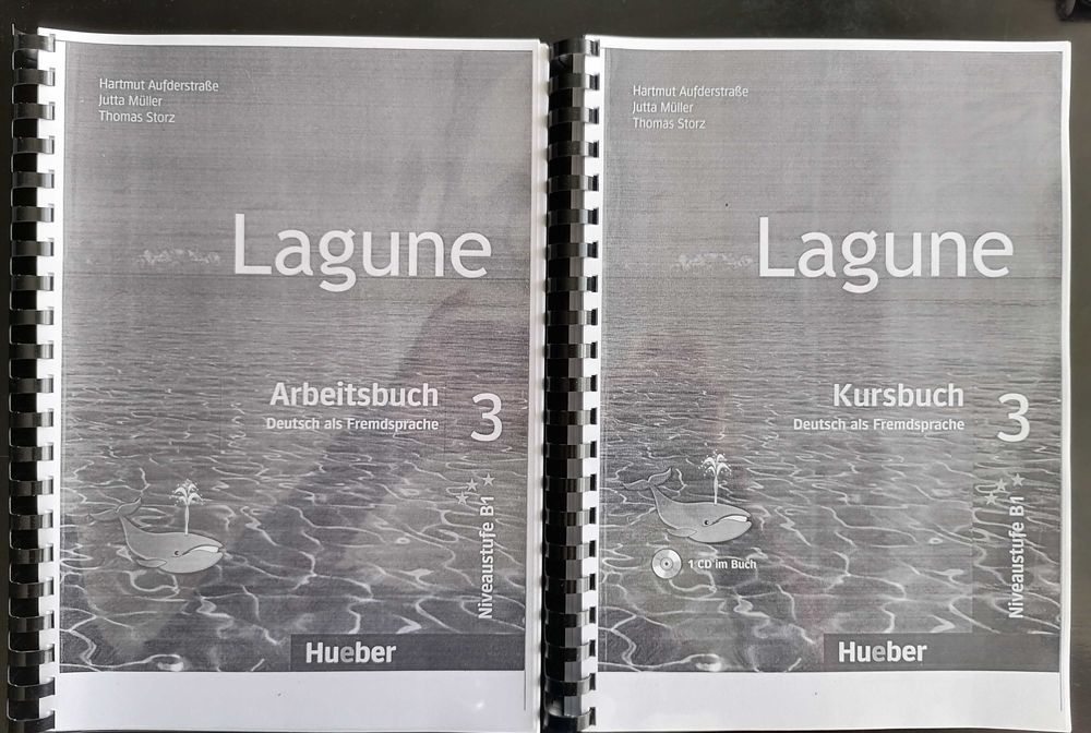 Lagune Kursbuch / Arbeitsbuch 1, 2 и 3