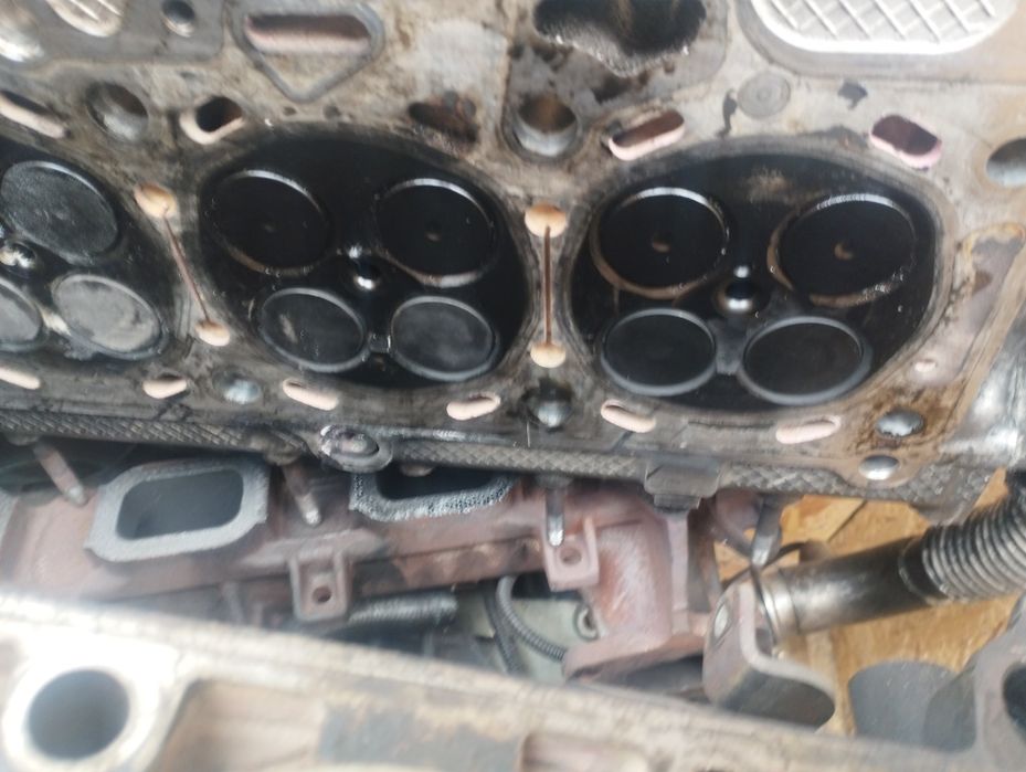 Chiuloasă Iveco daily 3.0 euro6 f1cfl4116