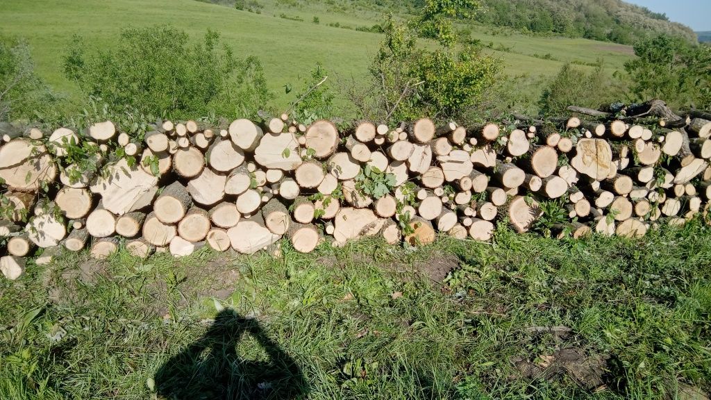 Vand lemne de foc esenta tare carpen cu stejar transport la domiciliu