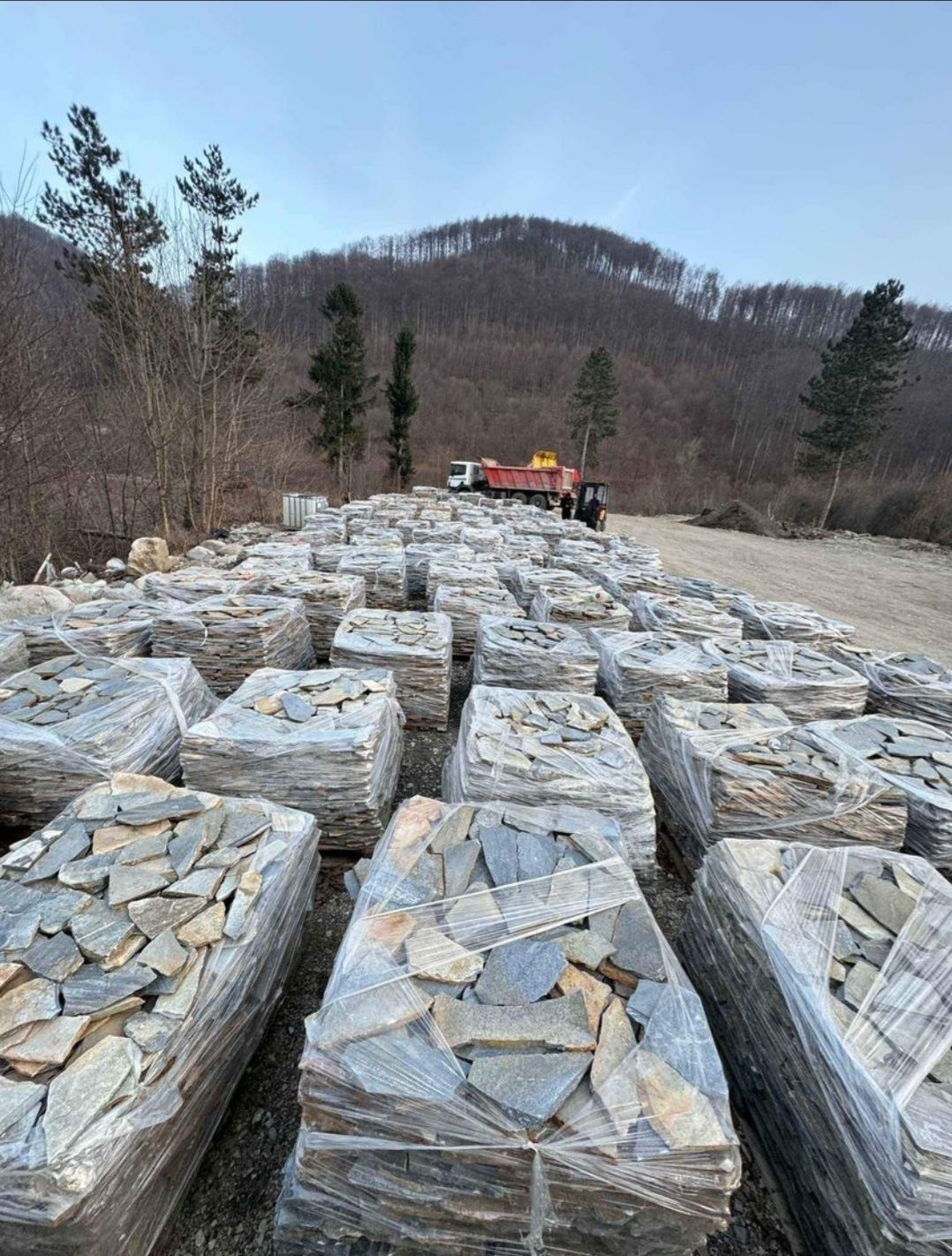 Pavaj piatra naturala/ piatra de munte/ piatra de rau