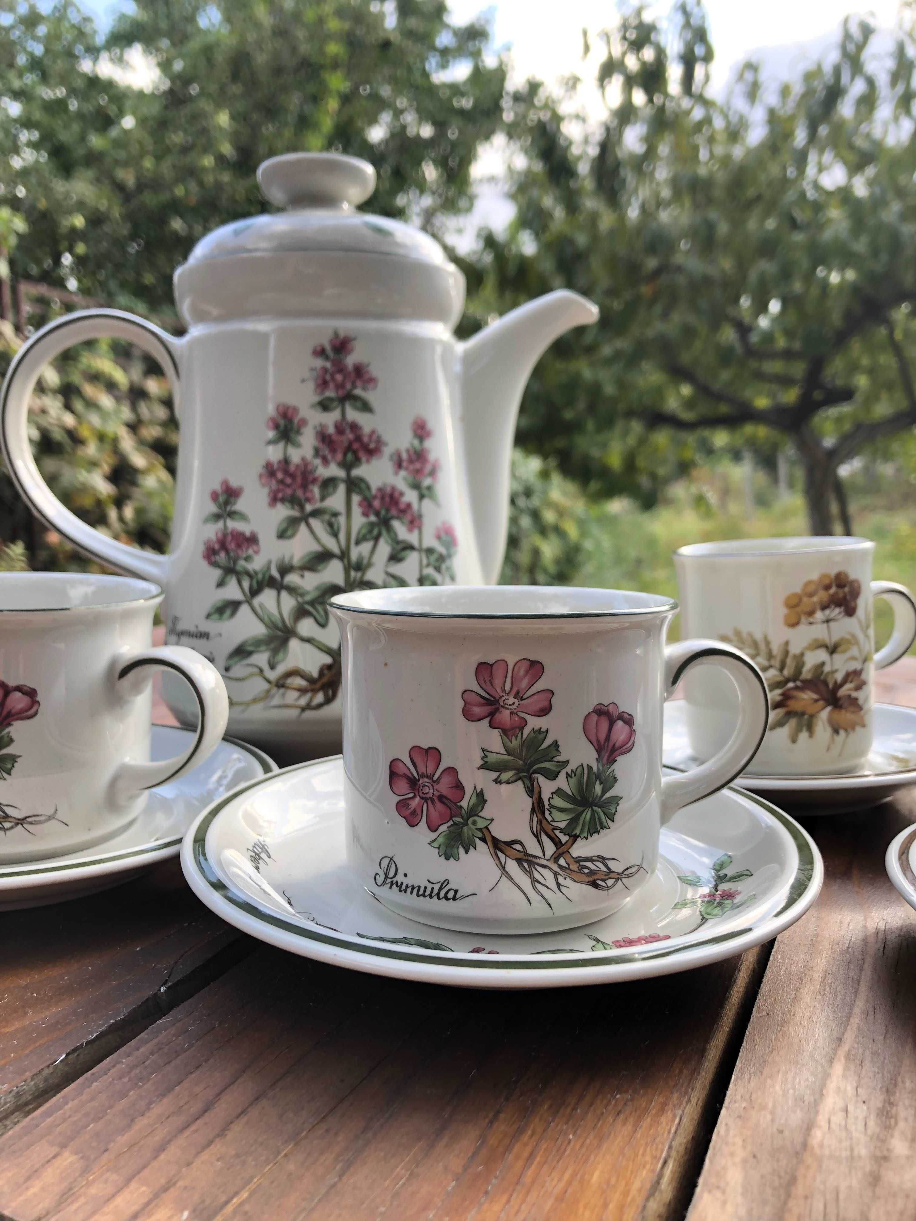 Winterling Bavaria Botanica