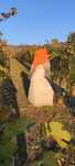 Vand rochie de mireasa