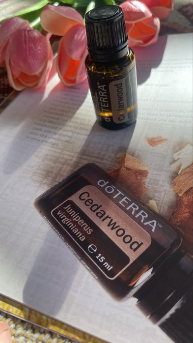 DOTERRA ulei Cedru aroma terapie