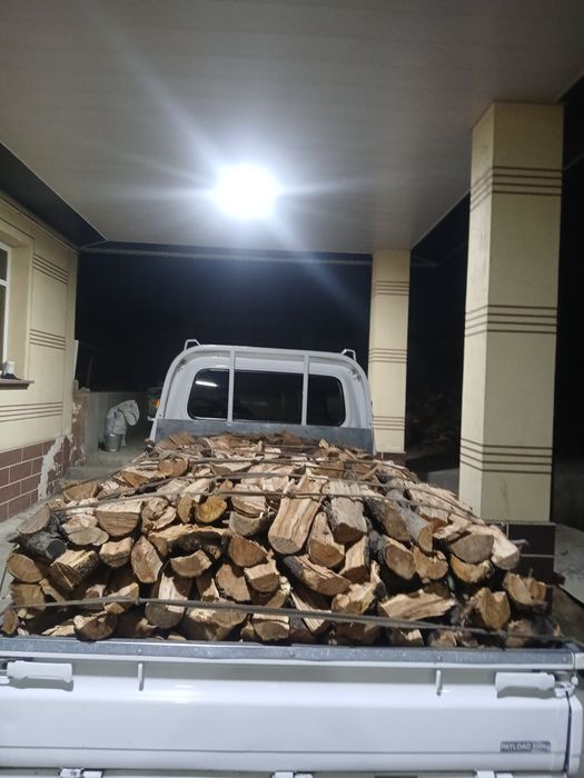 Shaftoli utin sotiladi