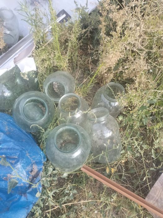 Продам банки под закрутку