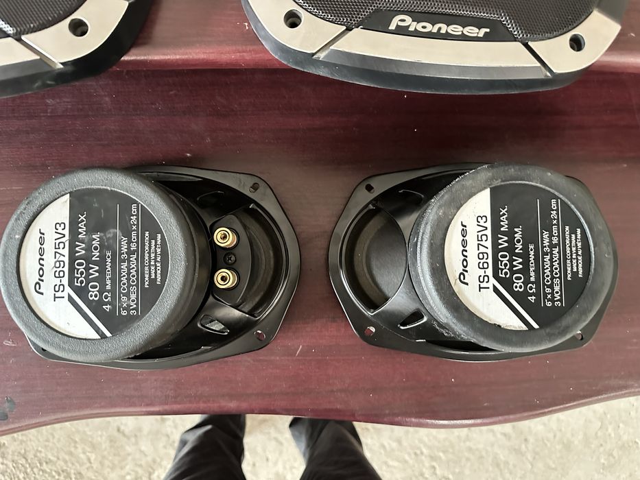 Pioneer 550w champion series kalonka