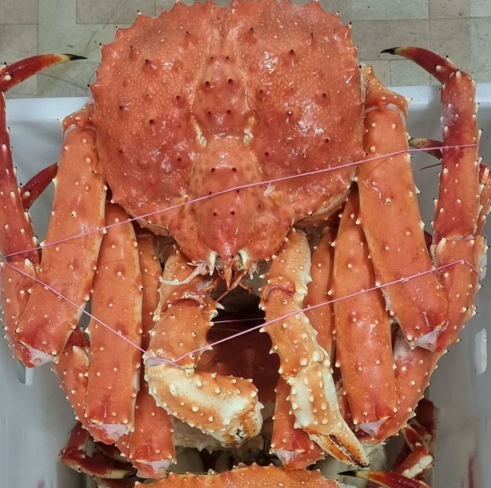 Крабы разных размеров