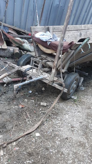 Vând cal cu căruță