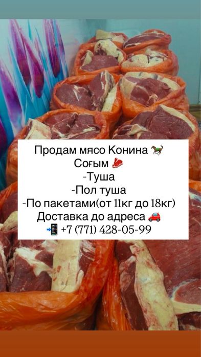 Продам Мясо конина