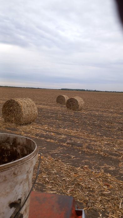 baloti rotunzi de Fan, rp170/120.