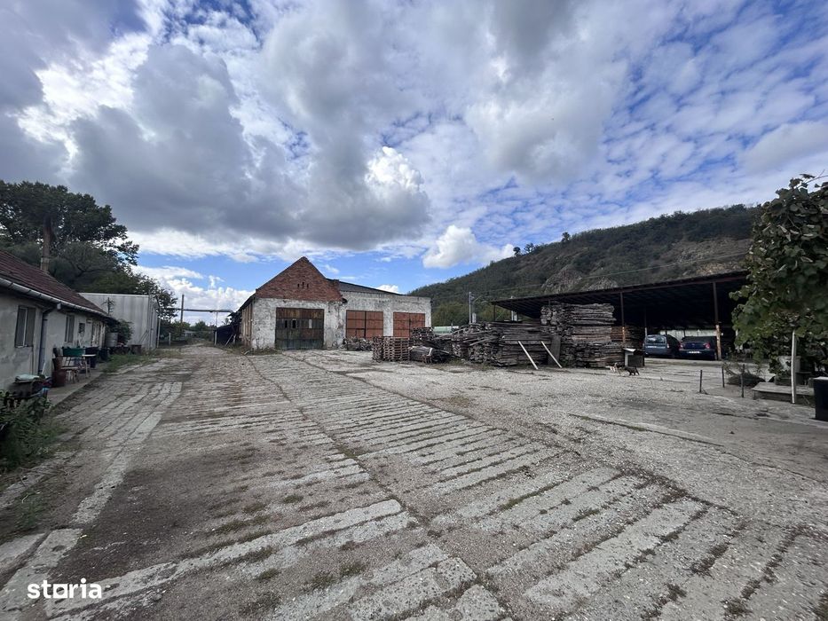 Fabrica prelucrare lemn de vanzare – Lipova, Arad