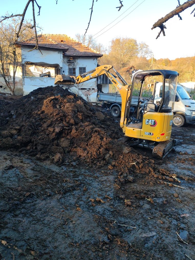 Balegar de oaie de 3 ani chisai pământ vegetal agregate balastiera